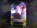 BOHEMIAN THEMED WEDDING SETUP Solina