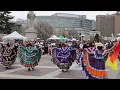 Why Cinco de Mayo is more popular in the U S