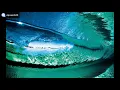 Hrag Mikkel - Tab Leh (Hobta Remix)
