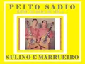 PEITO SADIO (Moda de Viola) com Sulino e Marrueiro