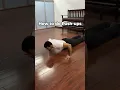 Download Lagu How to Do Push-Ups Correctly ✅ | Step-by-Step Guide #workout #calisthenics #shorts