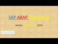 09 SAP ABAP Debugging Set external break points
