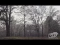 3-5-15 Terry MS Iced Trees Brandon Clement