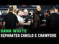 Download Lagu Dana White Separates Canelo Alvarez vs. Terence Crawford Face Off