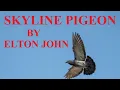 Download Lagu Skyline Pigeon with lyrics by Elton John