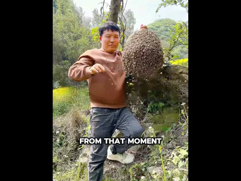 🐝❤️ This Man Earned the Complete Trust of His Bees! 😲#usa