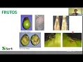 Phyton 27