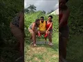 Download Lagu #viralvideo #music #nostalgia #reggaewine #reggae #love #comedymusic #comedysongs #dance #travel #