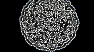 Unity Reaction Diffusion