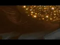 MR TOUT LE MONDE - For Real