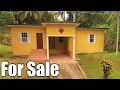 3 Bedrooms 2 Bathrooms House for Rent in MANNINGS HILL ROAD Kingston 9 Kingston St Andrew