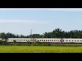 Download Lagu Kereta Api Putri Deli (U65) melaju dengan santai sembari menikmati hijaunya persawahan