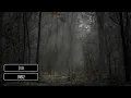 EMBRZ - Stay