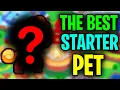 The BEST Prodigy Starter Pet Prodigy Math Game
