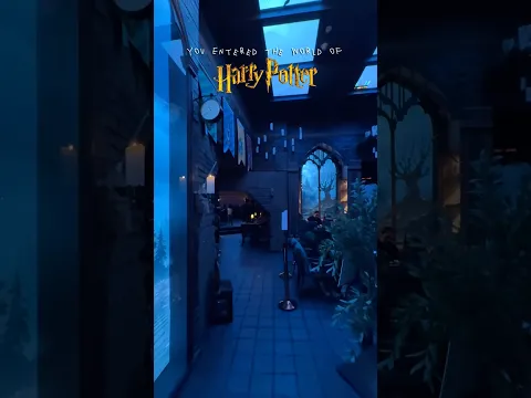 Harry Potter Theme Restaurant😍  #restaurant #potterhead #harrypotter #harrypotterfan #hogwarts
