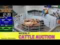 Durant Stockyards Red River Basin Cattle Auction April 9 2026