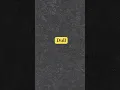 Antonym of Dull