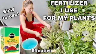 plant food fertilizer i use roma so