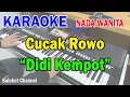 Download Lagu CUCAK ROWO ll KARAOKE DANGDUT ll DIDI KEMPOT ll NADA WANITA D=DO