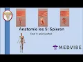 Lagu Anatomie les 5 Deel 1: Spierweefsel