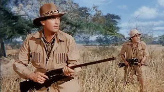 The Snows of Kilimanjaro (1952) Gregory Peck, Ava Gardner | Adventure, Drama