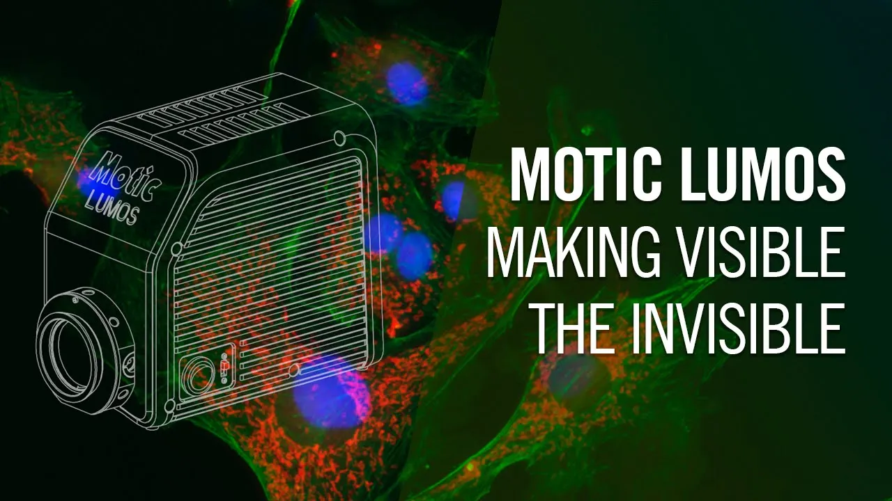 Motic Case study animation 2D