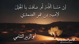 لاميه بن عمر الضمدي    أبو الزبير الشامي  دندنها