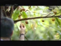 GlobalTv Gudang Garam Gold 22 05