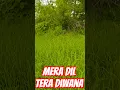 Download Lagu Mera Dil Tera Diwana #Studio Dance madhuvan #song #love #hindisong