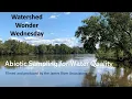 Abiotic Water Quality testing
