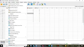 Handling Duplicate Cases in SPSS