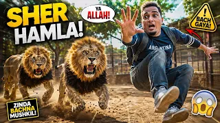 SHER ACHANAK MERE PE JHAPAT PARE! 😱 | Main Kaise Bacha?