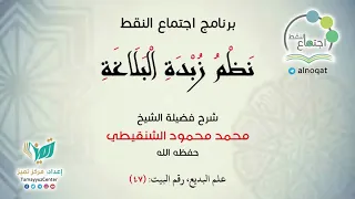 47 شرح منظومة زبدة البلاغة للشيخ محمد محمود الشنقيطي علم البديع 