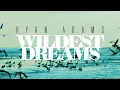 Ryan Adams - Wildest Dreams (from '1989') (Audio)