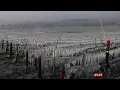 Weather Events - Frost strikes France again France