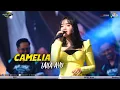 Download Lagu CAMELIA - LAILA AYU - MONY MUSIC // THE WEDDING OF REFO \u0026 SHINTA