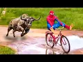 Download Lagu Homem Aranha Histórias Engraçadas de Super HERÓIS  ( AO VIVO )