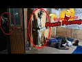 Lagu Prank Pocong Masuk Base Came #viral #funny #exposecisoka #horror #comedy #fyp #fypシ