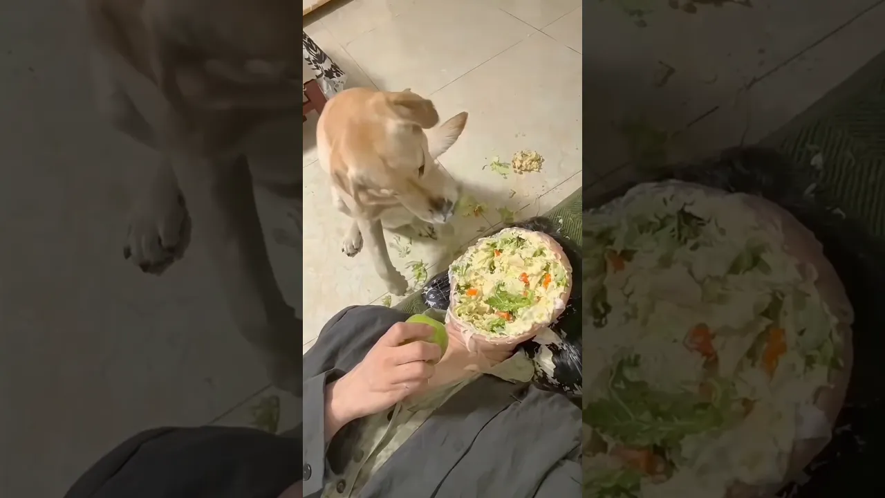 same reaction