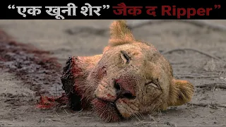 कैसे एक शेर ने लिया अपने भाई का बदला ?