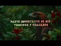 Alejandro Fernández - Es la Mujer (Lyrics/Letra)