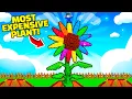 Download Lagu I Tested The Actual Most Expensive Plant on Grow a Garden (Better Than Candy Blossom)