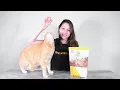 Dr Marty Nature s Feast Cat Food Review We Tried It