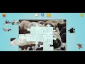 Sheep Jigsaw Puzzle - Photo Jigsaw Puzzles for Kids