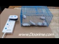 Download Lagu IZEERIN Pest repeller test 633-Electronic Ultrasonic Pest Repeller for Repels Rodent