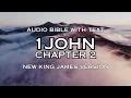 1JOHN 2 - BIBLE WITH TEXT NKJV