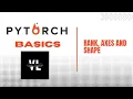 PyTorch Basics Part Two Rank Axes and Shape