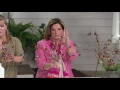 Ultimate Innovations Beads and Bells Garden Stake on QVC
