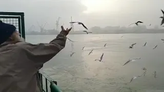من العمل   على الحجار دندنها