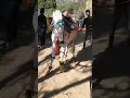 ajmer horse dance #marwadi #horse #barat #marwadiremix